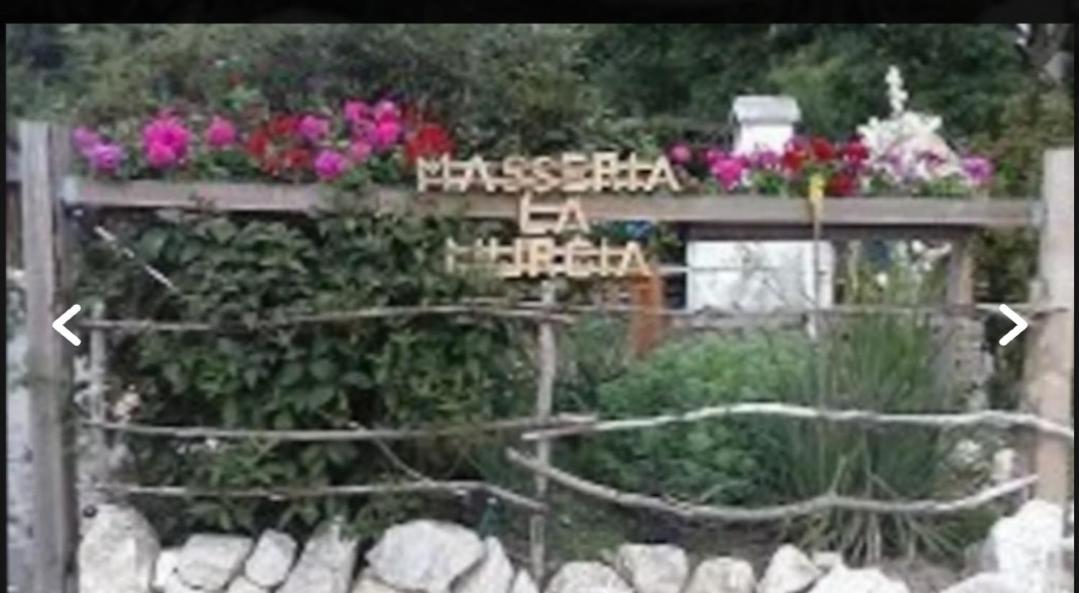 Wildcamp Resort Masseria La Murgia Unterkunft In Einem Wohnwagen Rimbach  Ngoại thất bức ảnh