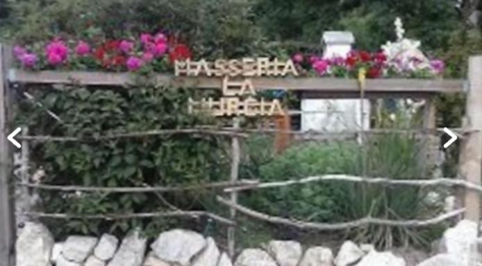 Wildcamp Resort Masseria La Murgia Unterkunft In Einem Wohnwagen Rimbach  Ngoại thất bức ảnh